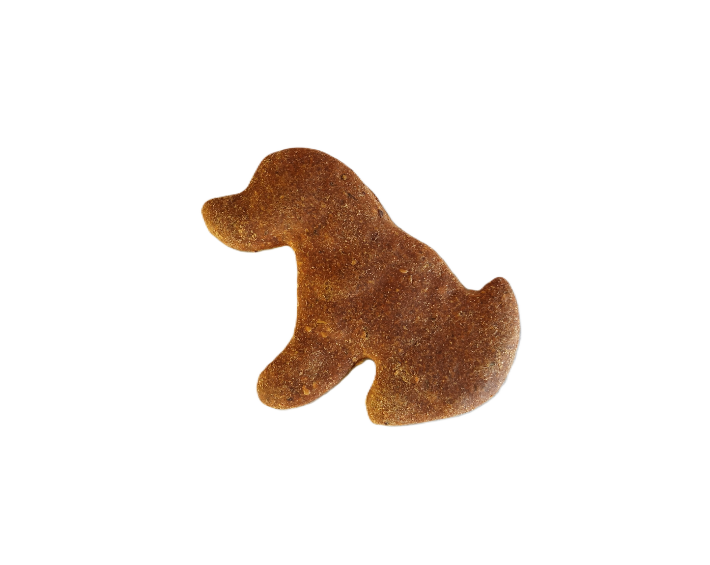 Peanut Butter & Pumpkin - Large