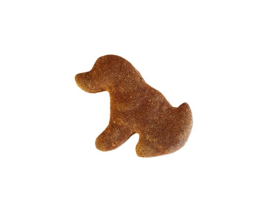 Peanut Butter & Pumpkin - Large