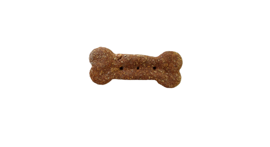 Peanut Butter & Pumpkin - Medium