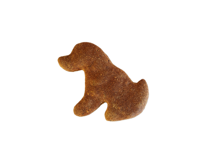 Peanut Butter & Pumpkin - Large